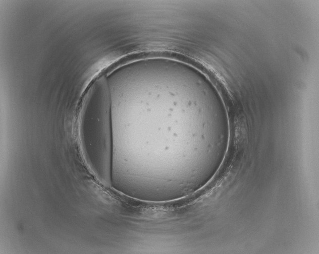 X0000115390973200911171453