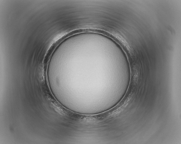 X0000115390974200911171453