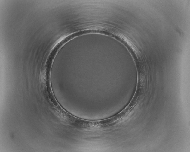 X0000115390975200911171453