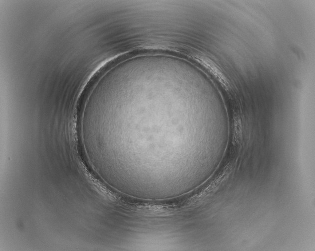 X0000115390976200911171453