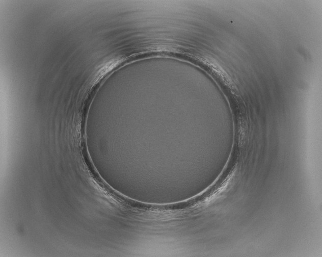 X0000115390977200911171453