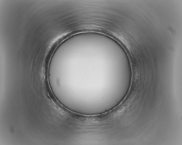 X0000115390979200911171453