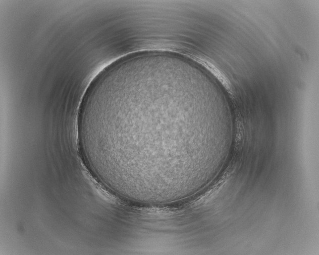 X0000115390980200911171453