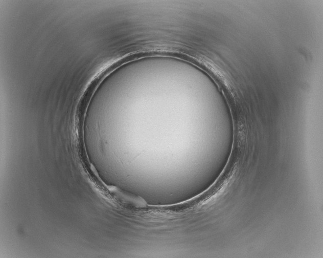 X0000115390981200911171453