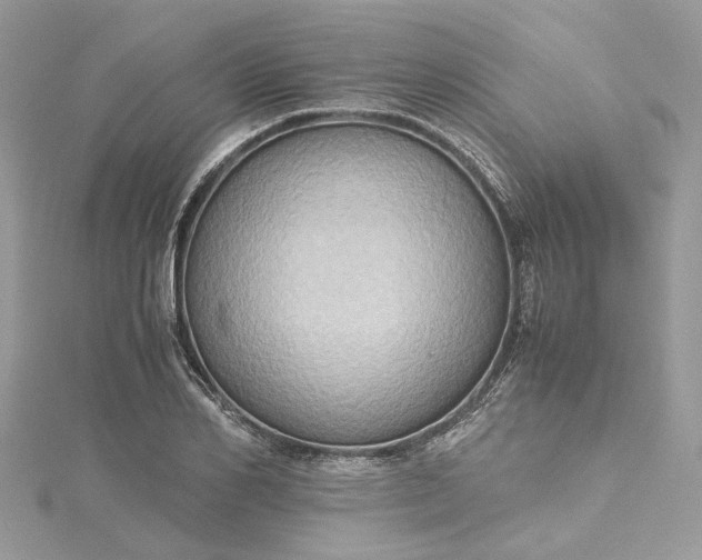 X0000115390982200911171453