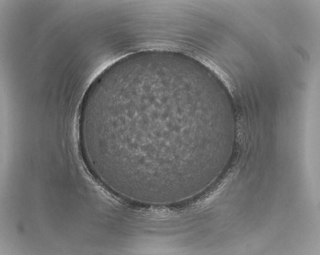 X0000115390983200911171452