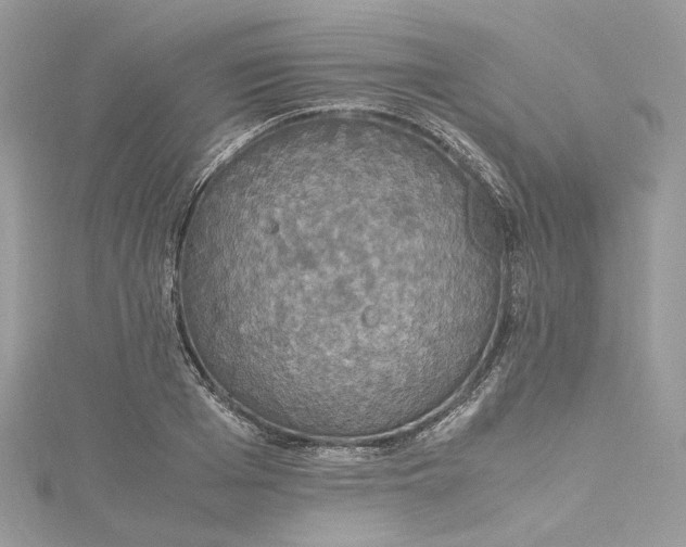 X0000115390985200911171452