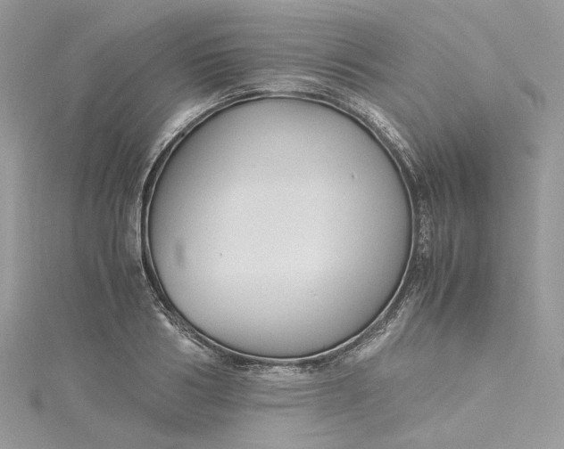 X0000115390986200911171452