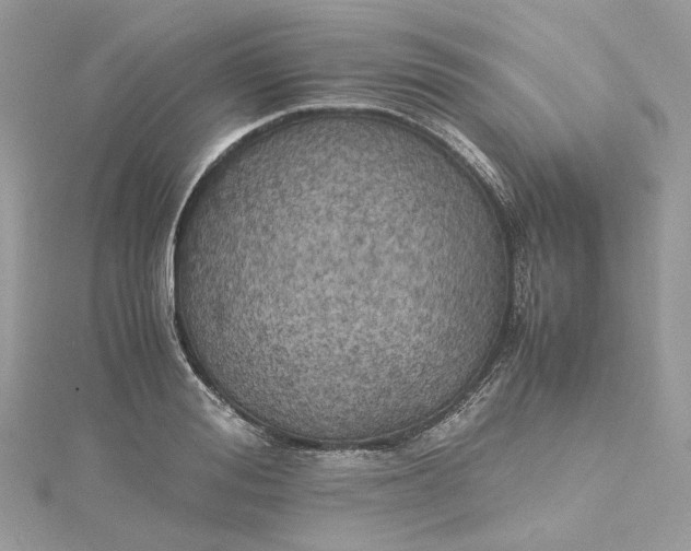 X0000115390988200911171452