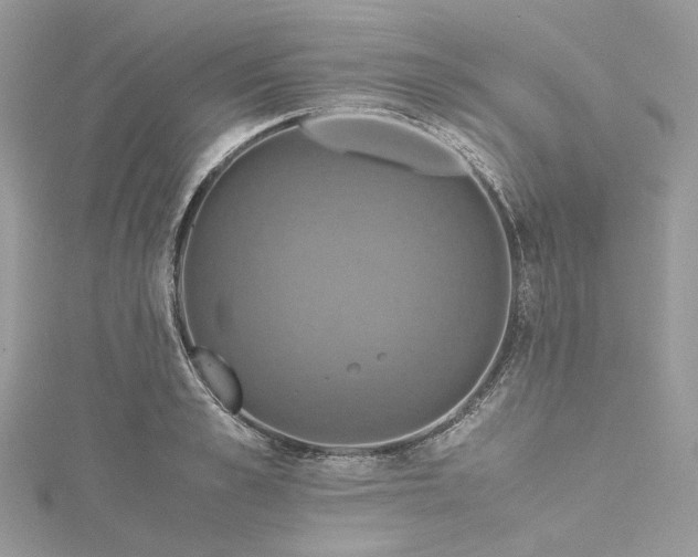 X0000115390989200911171452