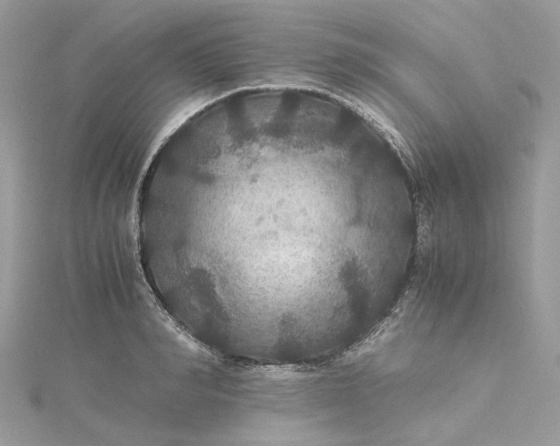 X0000115390990200911171452