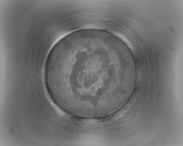 X0000115390991200911171452