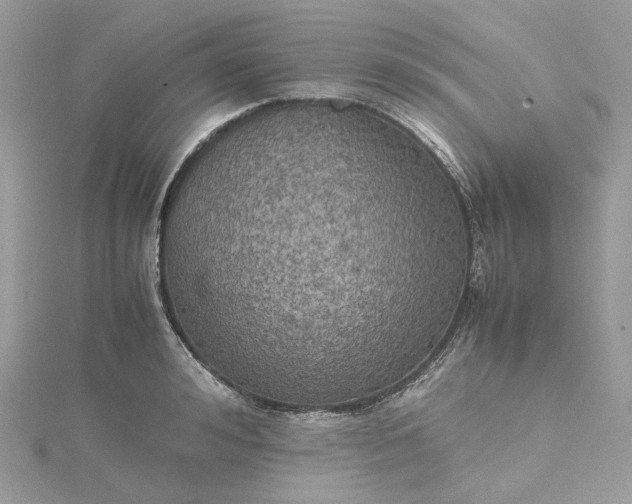 X0000115390992200911171452