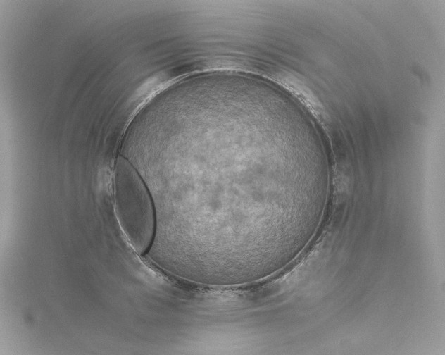 X0000115390993200911171452