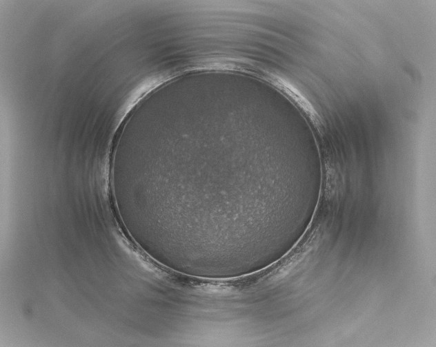 X0000115390994200911171452