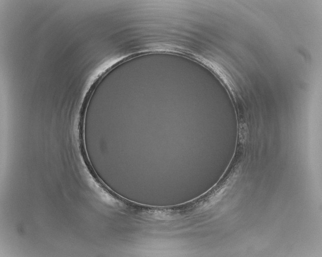 X0000115390995200911171452