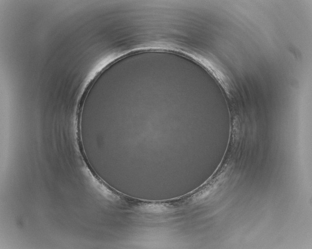 X0000115390998200911171452