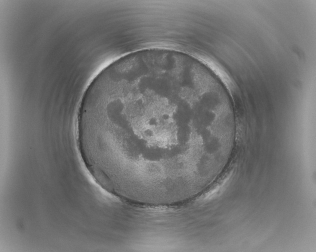 X0000115390999200911171452