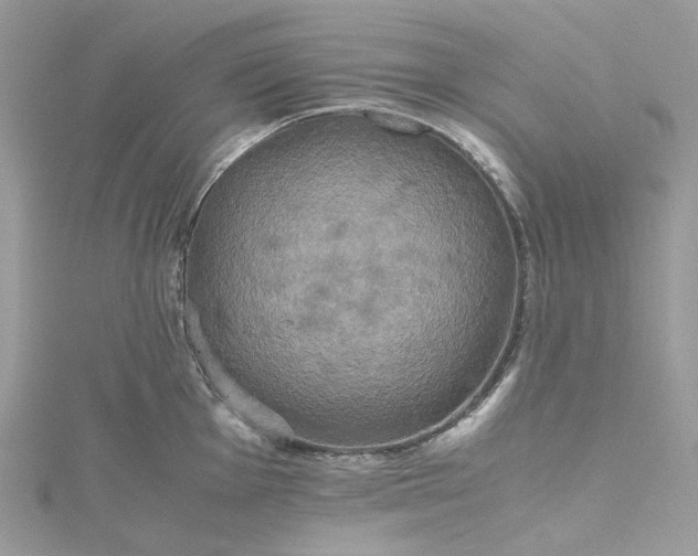 X0000115391001200911171452