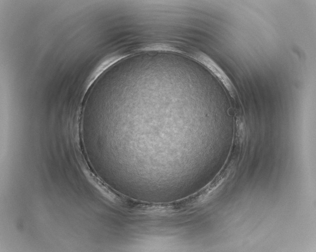 X0000115391002200911171452