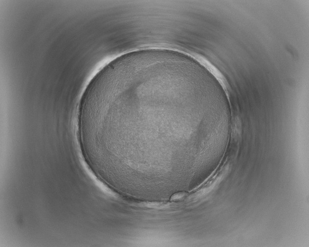 X0000115391005200911171452