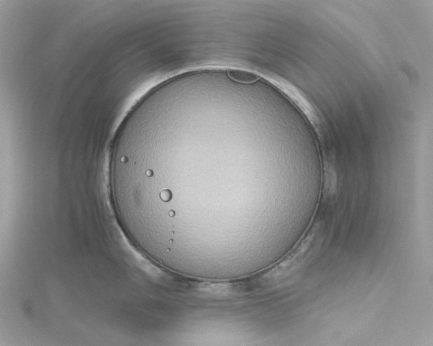 X0000115391006200911171452