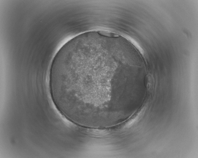 X0000115391007200911171452