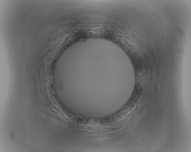 X0000115391009200911171452