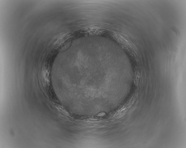 X0000115391010200911171452