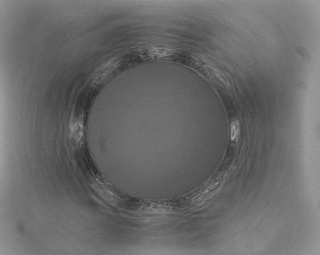 X0000115391011200911171452