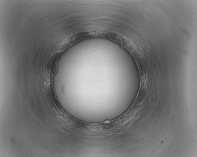 X0000115391012200911171452