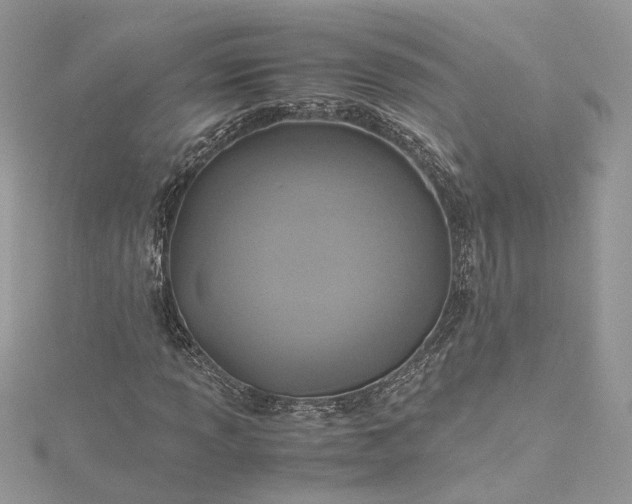 X0000115391013200911171452