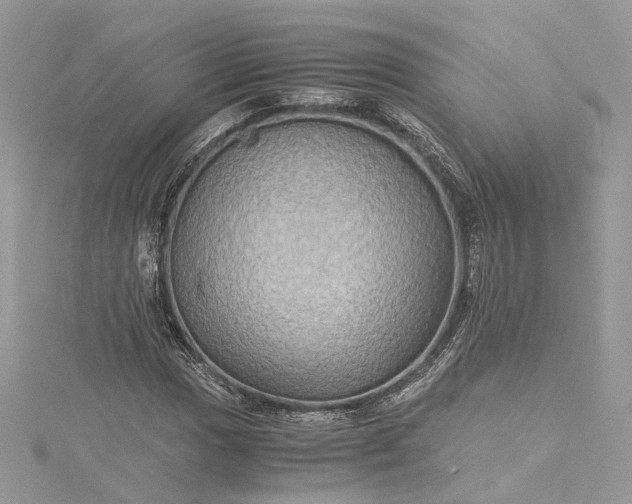 X0000115391017200911171452