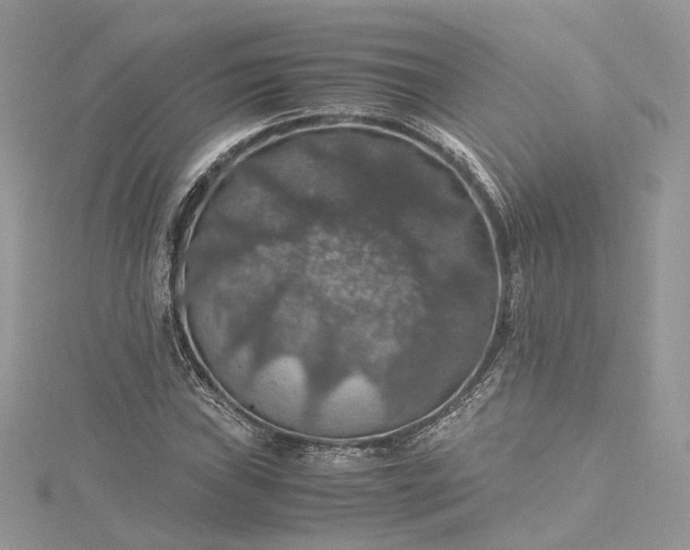 X0000115391019200911171452