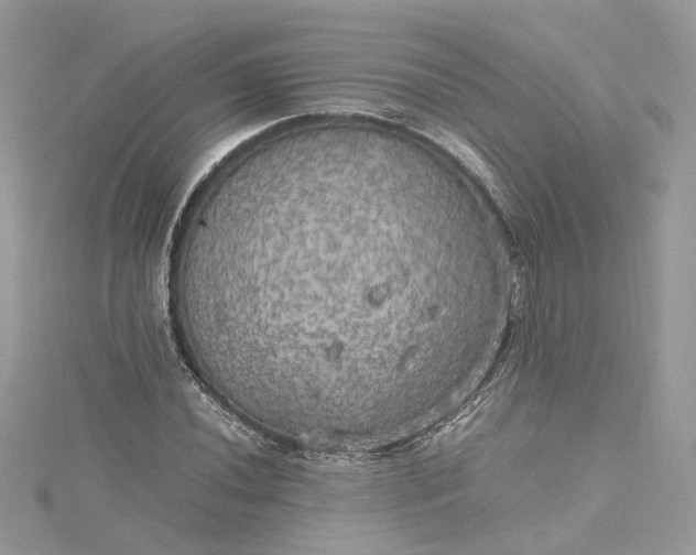 X0000115391020200911171452