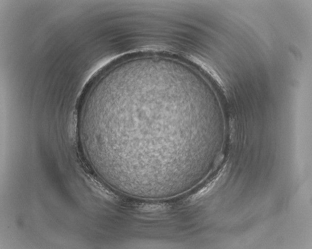 X0000115391021200911171452