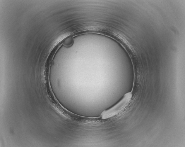 X0000115391026200911171452