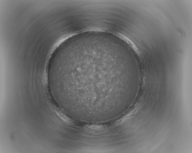 X0000115391027200911171452