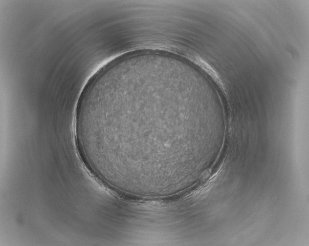 X0000115391028200911171452