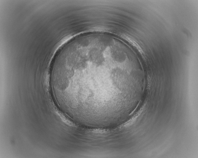 X0000115391029200911171452