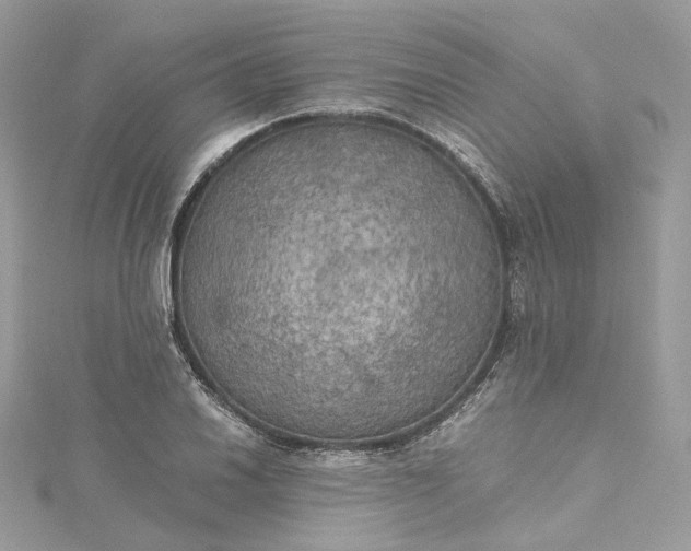 X0000115391030200911171452