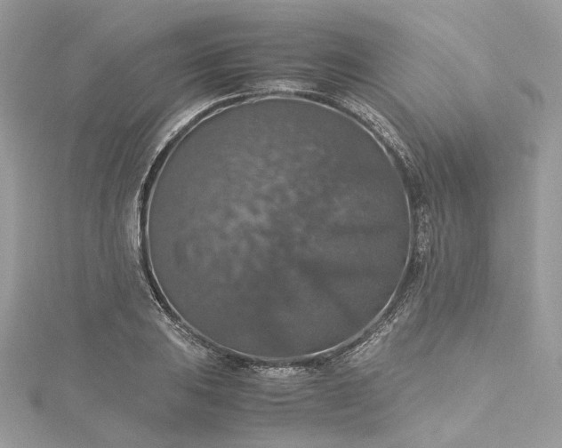 X0000115391031200911171452