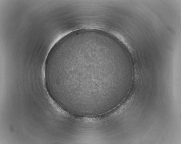 X0000115391032200911171452