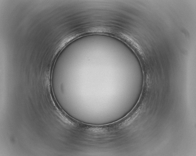 X0000115391033200911171452