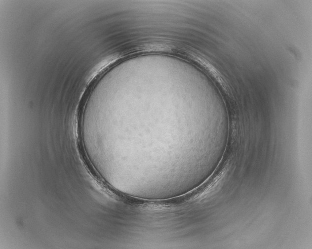 X0000115391034200911171452