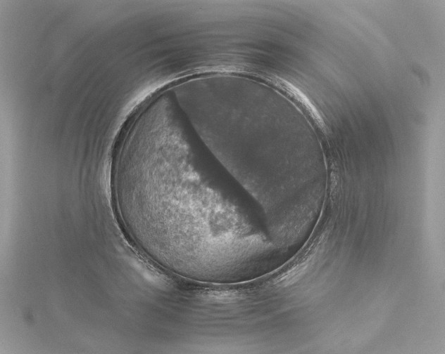 X0000115391035200911171452