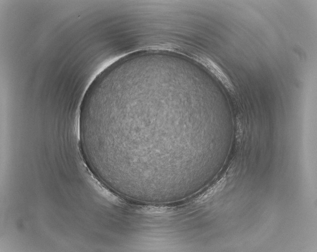 X0000115391036200911171452