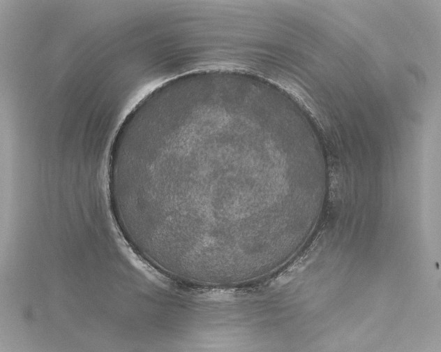 X0000115391038200911171452