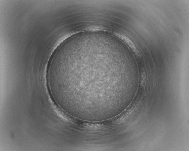 X0000115391039200911171452