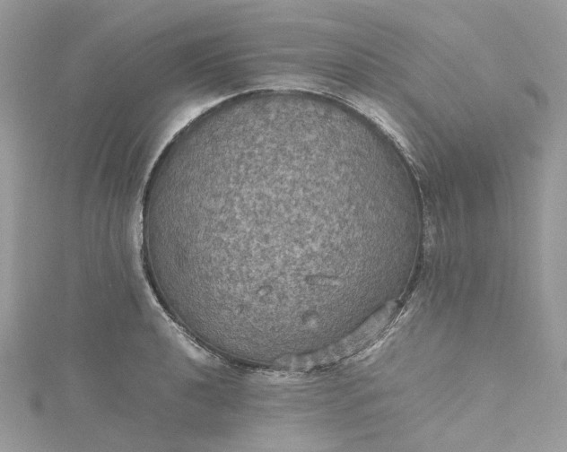 X0000115391040200911171452